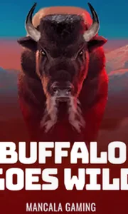 Buffalo Goes Wild